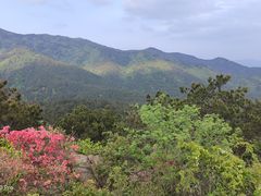 -木兰云雾山