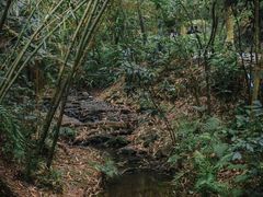-滴水岩森林公园