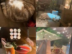 -咖法森林·咖啡  酒吧(天河店)