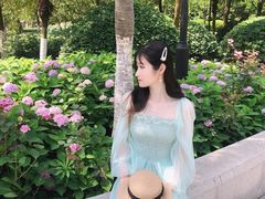 -大关公园