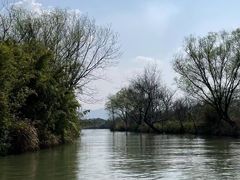 -西溪国家湿地公园