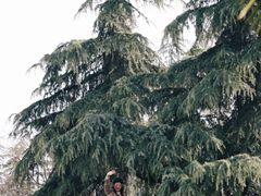 -泰州凤城河风景区-泰山公园