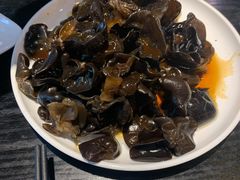 芥末木耳-船歌·鱼水饺青岛菜(合肥路永旺店)
