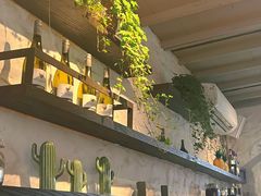 -Apollo·西班牙小酒馆(安福路店)