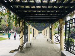 -金山公园