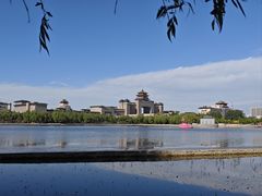 -莲花池公园