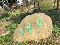 -鹅湖玫瑰文化园