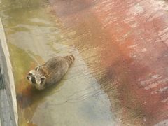 -泉州海丝野生动物世界