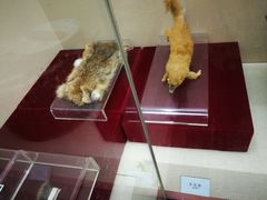 -中国湖笔博物馆(莲花庄路)