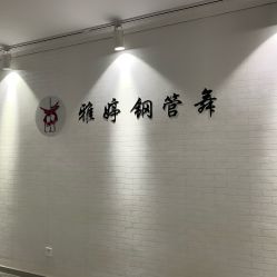 -柯宏＆雅婷塑形钢管舞蹈