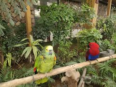 -南宫五洲植物乐园