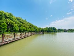 -上海海湾国家森林公园