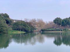 -圩墩遗址公园