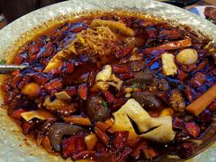 -青城甲(青城山店)