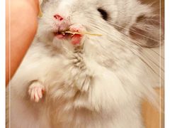 -龙猫仔乐园(惠福东路店)