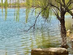 -济南国际园博园