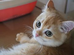 -Me Coffee下午茶艺术空间