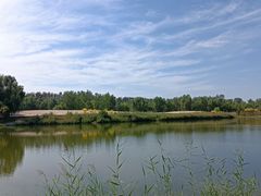 -东郊湿地公园