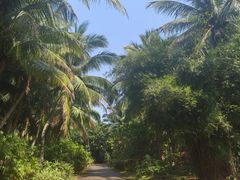 -白沙门生态公园