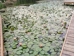 -白鹭湾湿地公园