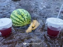 -李东农庄(中南百草园地标店)