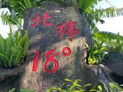 -呀诺达热带雨林
