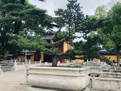 -上海东林寺(金山区)