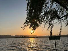 -杭州西湖柳莺里酒店·闻莺厅