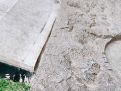 -苏州苏城医院·综合医院