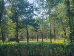 -秦皇岛野生动物园