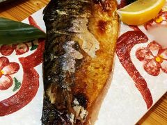 -和蕴日本料理
