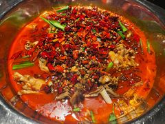 -宽口美蛙鱼头(大唐西市店)