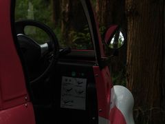 -黄海国家森林公园