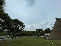 -新洲生态园