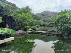 -云溪植物园