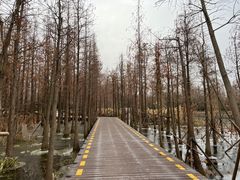 -云龙湖旅游景区