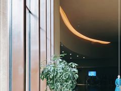 -敦煌莫高窟数字展示中心
