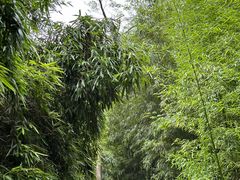 -狼山风景名胜区