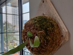 -nodcafe(M50创意园店)