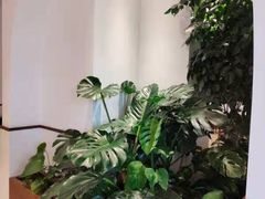 -Peet's Coffee皮爷咖啡(上海长风大悦城店)