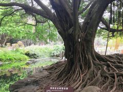 -晓港公园
