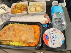 -新加坡航空公司(ION)