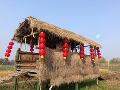-长兴太湖图影湿地文化园