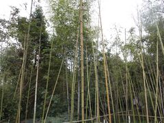 -邓小平故里