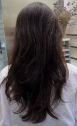 -Hair Code芭曲发型