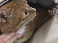 -美美宠物诊疗中心·异宠·骨科(滨江东信分院)