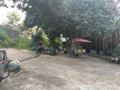 -星鹿农家乐·烤鸡·柴火鸡·团建