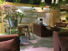 抹茶樱花-柴务处·柴犬主题狗咖