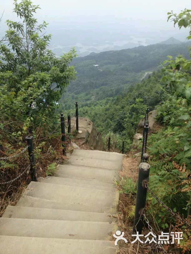 茶山竹海國家森林公園-圖片-永川區景點-大眾點評網