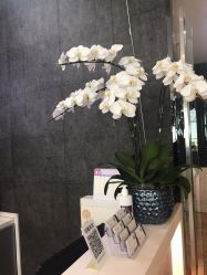 -意廊 Hair Salon